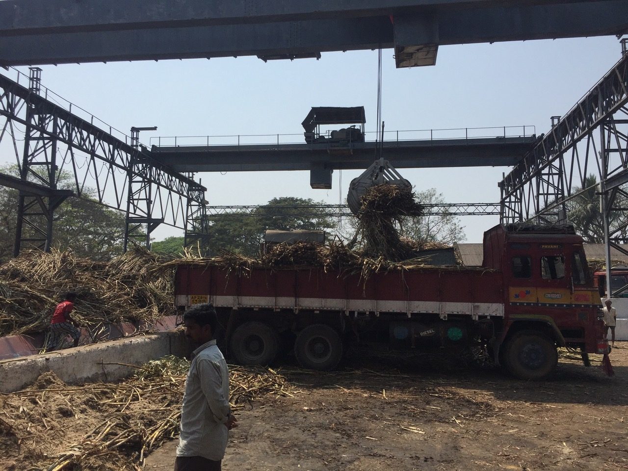 Sugarcane feedstock being loaded at a mill